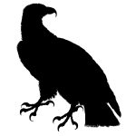 Bird of Prey Silhouette 2 - Raptor Bird Silhouette