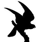 Bird of Prey Silhouette 6 - Sparrow Hawk Silhouette