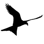 Bird of Prey Silhouette 8 - Hawk Flying