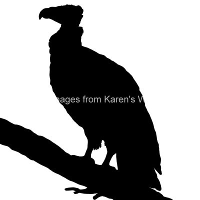 Bird of Prey Silhouette 5 - Vulture Silhouette