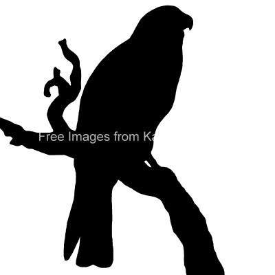 Bird of Prey Silhouette 7 - Kite Bird Silhouette
