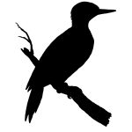 Simple Bird Silhouette 1 - Bird Silhouette Graphic