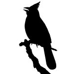 Simple Bird Silhouette 9 - Silhouette of a Cardinal