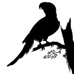 Bird Silhouette Clip Art 10 - Parrot Silhouette