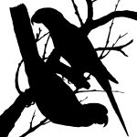 Bird Silhouette Clip Art 11 - Parrot Silhouette Images