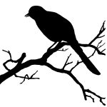 Bird Silhouette Clip Art 5 - Bird Branch Clip Art