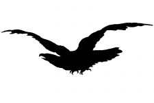 Bird Silhouette Images 8 - Bird of Prey in Flight