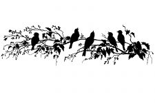 Bird Silhouette Images 9 - Birds in a Tree