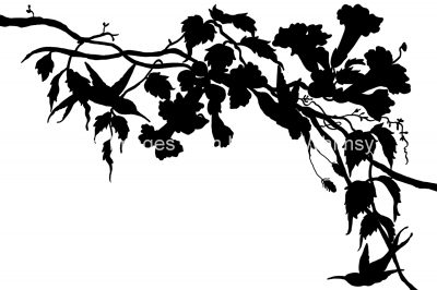Bird Silhouette Images 10 - Silhouettes of Hummingbirds