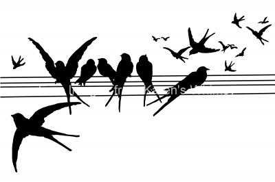Bird Silhouette Images 5 - Bird Silhouettes on a Wire