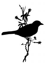 Silhouette Bird 1 - Bird on Flowery Branch