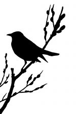 Silhouette Bird 3 - Robin Bird Silhouette