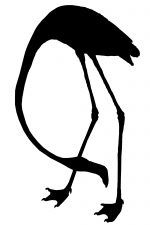Silhouette Bird 4 - Flamingo Bird Silhouette