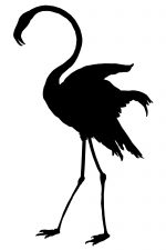 Silhouette Bird 5 - Flamingo Silhouette