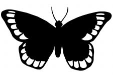 Butterfly Silhouette 1