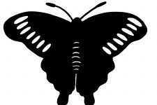 Butterfly Silhouette 2