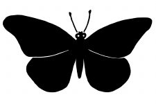 Butterfly Silhouette 7