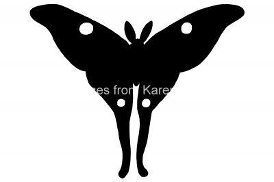 Butterfly Silhouette 5