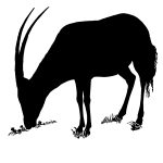 African Animal Silhouette 2 - Antelope Silhouette