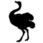 Wildlife Silhouette 8 - Ostrich Silhouette