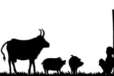 Farm Animal Silhouette 13 - Boy with Pigs and Cow