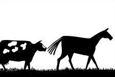 Farm Animal Silhouette 14 - Spotted Cow and Horse
