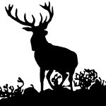 Deer Silhouette 3