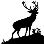 Deer Silhouette 4