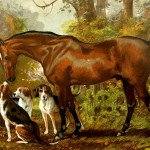 Pictures of Horses 4 - A Hunter with Dogs