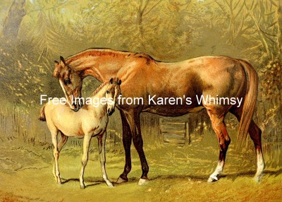 Pictures of Horses 3 - A Mare and Foal