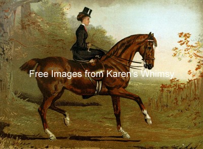 Pictures of Horses 8 - Lady on a Hunter