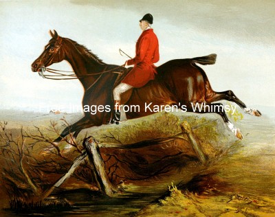 Pictures of Horses 9 - Irish Hunter