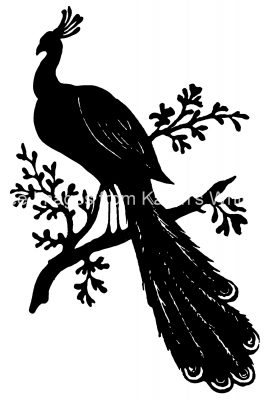 Free Silhouette Images 12 - Peacock on a Branch