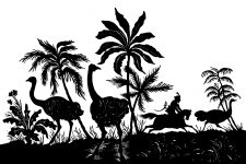 Silhouette Images 9 - Man Chasing Ostriches