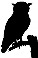 Owl Silhouette 7
