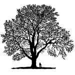 Silhouette Tree 6 - Royal Walnut