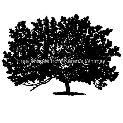 Silhouette Tree 1 - White Mulberry