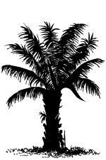 Palm Tree Silhouette 1