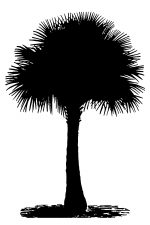 Palm Tree Silhouette 5