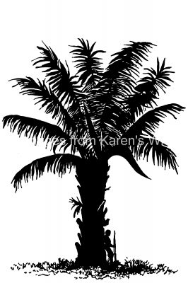 Palm Tree Silhouette 1
