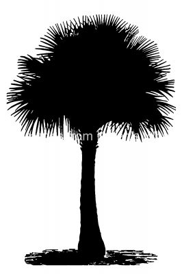 Palm Tree Silhouette 5