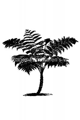 Palm Tree Silhouette 8