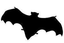 Bat Silhouette 2