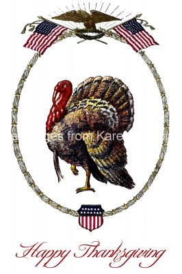 Thanksgiving Turkey Pictures 4
