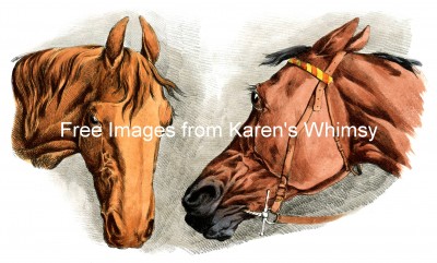 Drawings of Horses 5 - Two Horse Heads