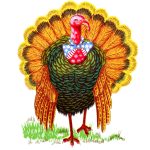 Free Thanksgiving Turkey Images 2