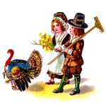 Free Thanksgiving Turkey Images 3