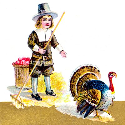 Free Thanksgiving Turkey Images 4
