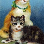 Cute Kittens 2 - Best Friends