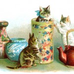 Cute Kittens 5 - Playing in the China